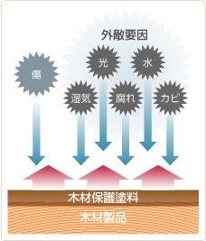 木材保護塗料が木材を外敵から守り、劣化を防ぐ