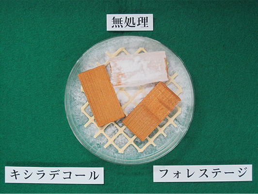 試験開始より12週間後のスギ材