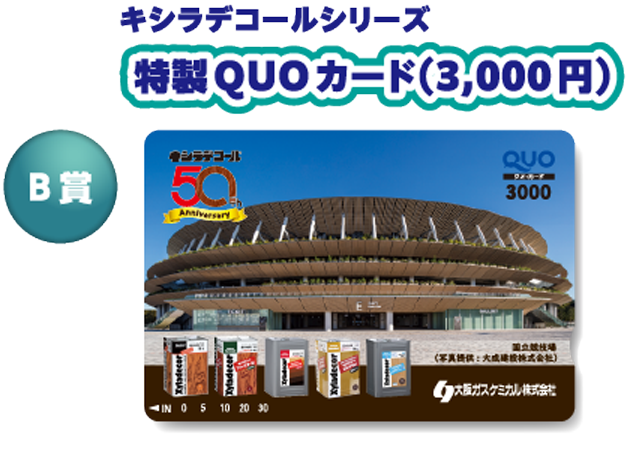 【B賞】キシラデコールシリーズ特製QUOカード（3,000円）