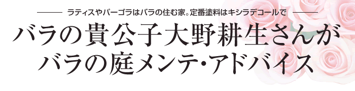 ラティスやパーゴラはバラの住む家。定番塗料はキシラデコールで バラの貴公子大野耕生さんがバラの庭メンテ・アドバイス