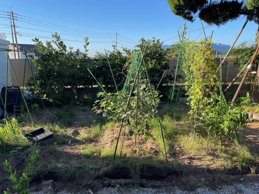 油性キシラデコール