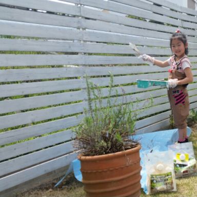 水性キシラデコールエクステリア