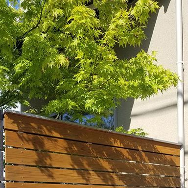 油性キシラデコール