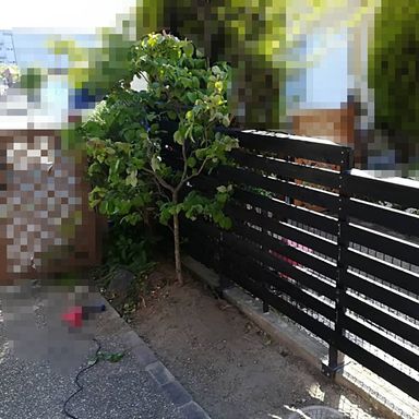 水性キシラデコールエクステリア