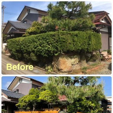 油性キシラデコール