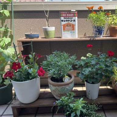 油性キシラデコール