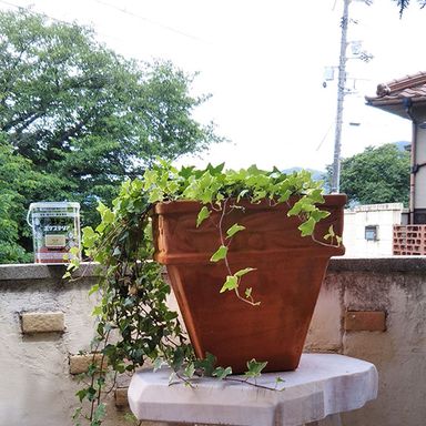 水性キシラデコールエクステリア