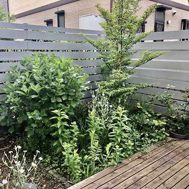 油性キシラデコール