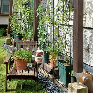 油性キシラデコール