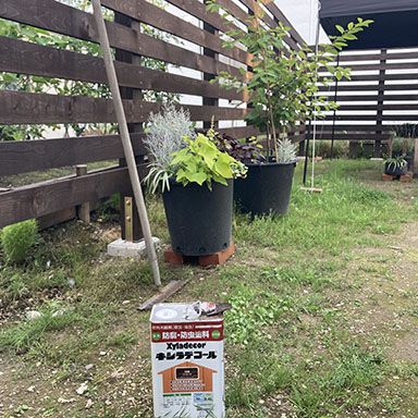 油性キシラデコール