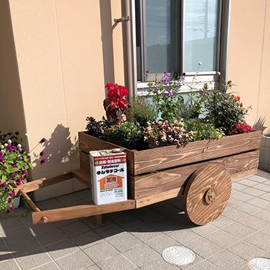 油性キシラデコール