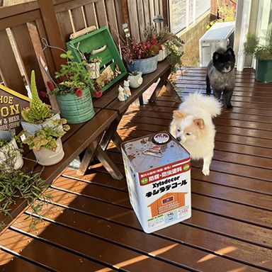 油性キシラデコール