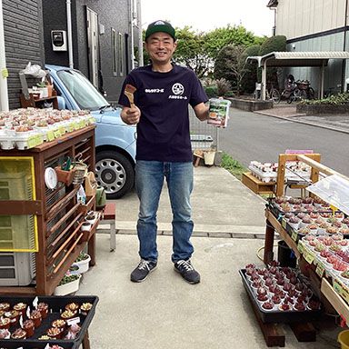 水性キシラデコールエクステリア、水性キシラデコールウッドコート