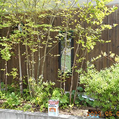 油性キシラデコール