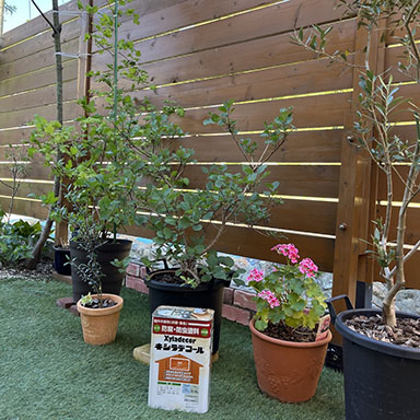 油性キシラデコール