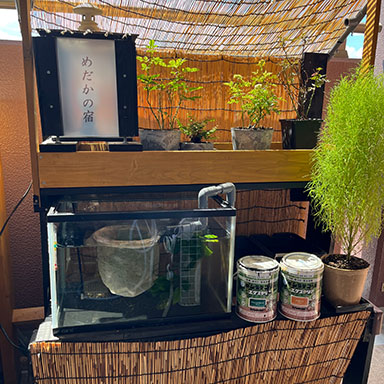 水性キシラデコールエクステリア