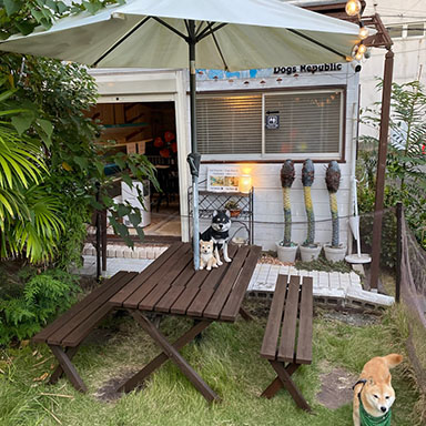 油性キシラデコール