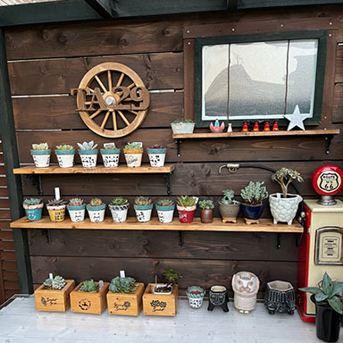 水性キシラデコールエクステリア