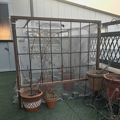 油性キシラデコール