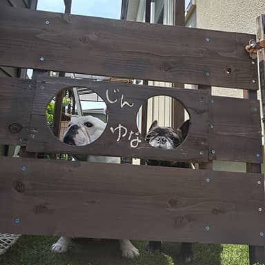 油性キシラデコール