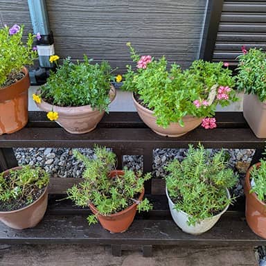 水性キシラデコールエクステリア