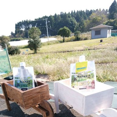 水性キシラデコールエクステリア