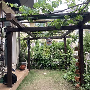 油性キシラデコール