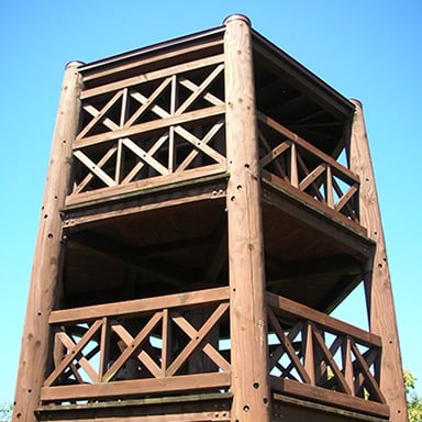 とっとり出合いの森