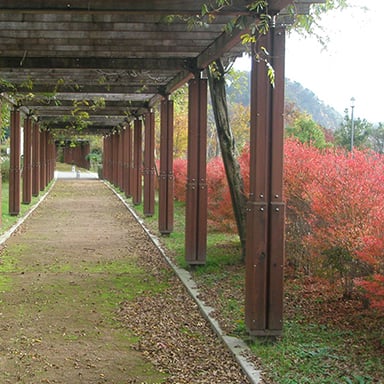 白山ろくテーマパーク