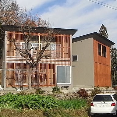 abstract forest geometry