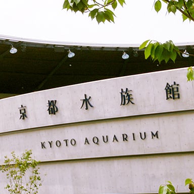 京都水族館