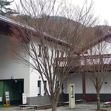 兵庫陶芸美術館