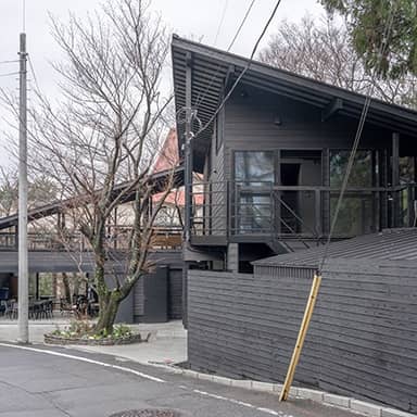 ｃａｔ　ｃｏｒｒｉｄｏｒ