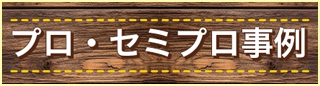 プロ・セミプロ事例